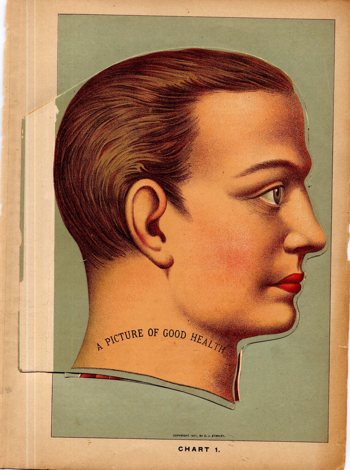 Il_fullxfull.198097105 Il_fullxfull.198097105