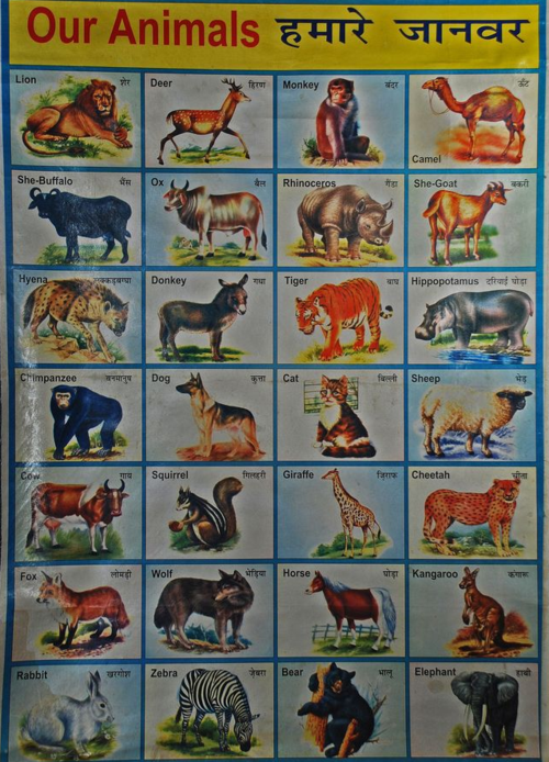 Ind-chrt-007-1_edited-1