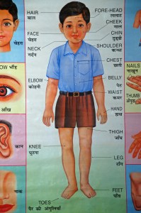 Ind-chrt-001-cup_edited-2