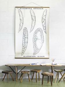 700_1swedish-botanical-print-10