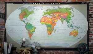 Erdevegetation Erdevegetation