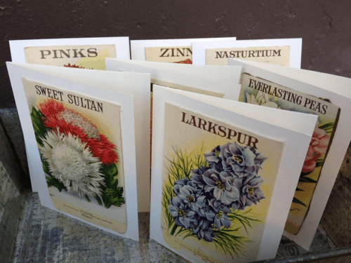 Seedpktcards Seedpktcards