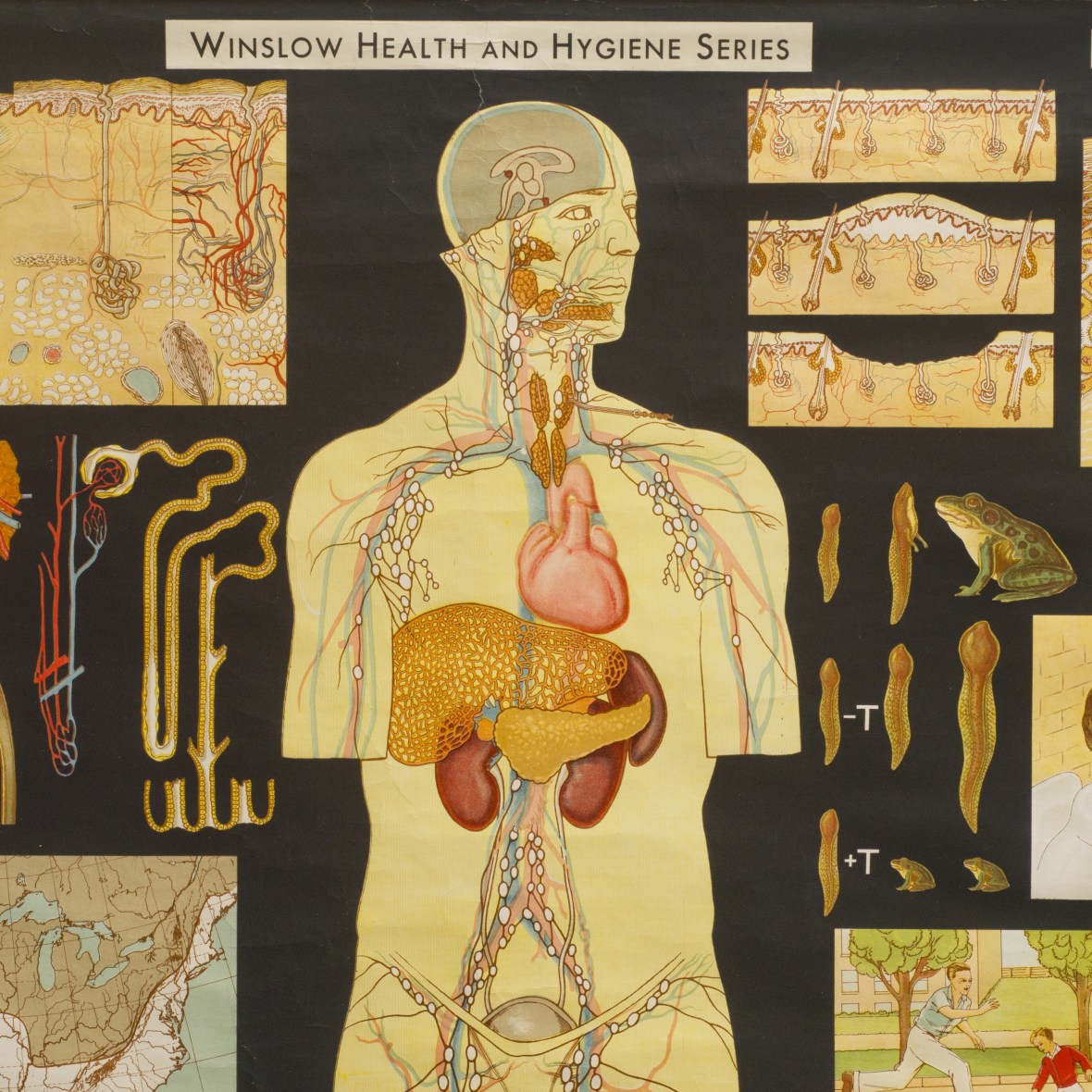 ACHARTWHSecret#2 ACHARTWHSecret#2