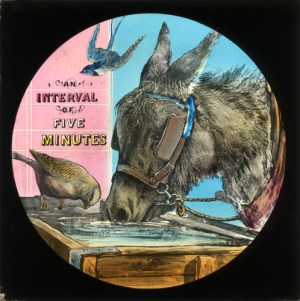 XXX_9154_1353345840_1 XXX_9154_1353345840_1