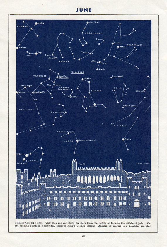 Il_570xN.600344239_ri49