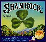 Lc069shamrockl Lc069shamrockl