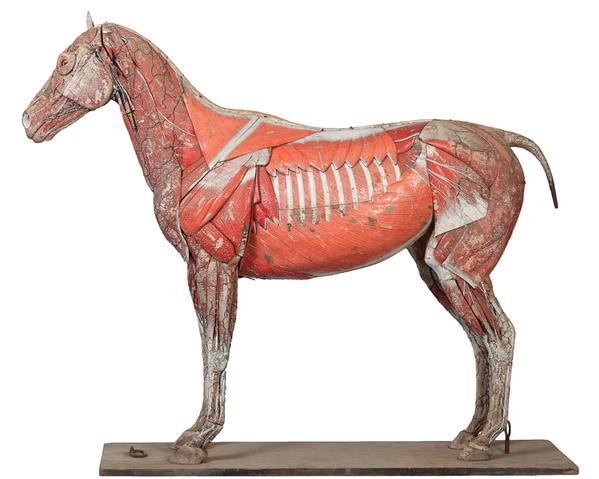 B7aBNeTCcAAjI1c B7aBNeTCcAAjI1c