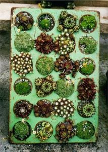 B4324b69a012cc0eef54117c36902687 B4324b69a012cc0eef54117c36902687