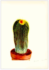 Cd09da20cb4647c3880fbc1db8f202fd Cd09da20cb4647c3880fbc1db8f202fd