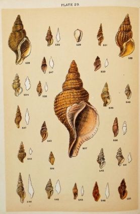 7d2cb24e-813d-461b-af65-1e92d19541ff